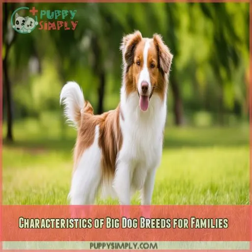 Characteristics of Big Dog Breeds for Families