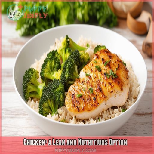 Chicken: a Lean and Nutritious Option