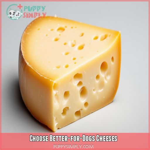 Choose Better-for-Dogs Cheeses