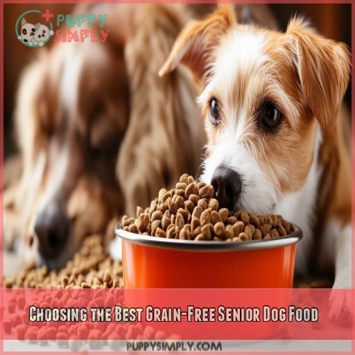 Choosing the Best Grain-Free Senior Dog Food