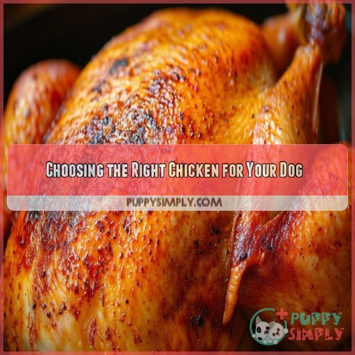 Choosing the Right Chicken for Your Dog