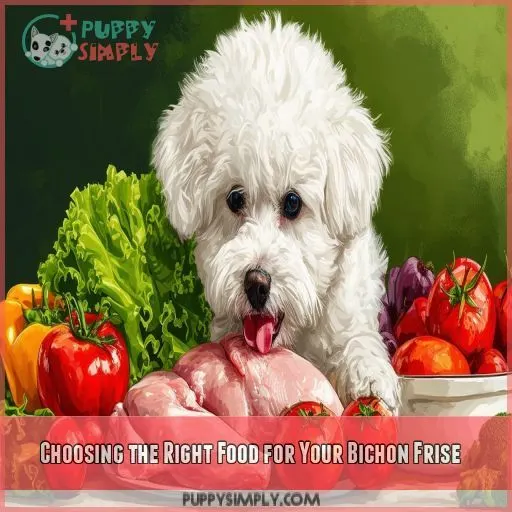 Choosing the Right Food for Your Bichon Frise