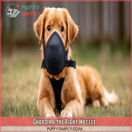 Choosing the Right Muzzle