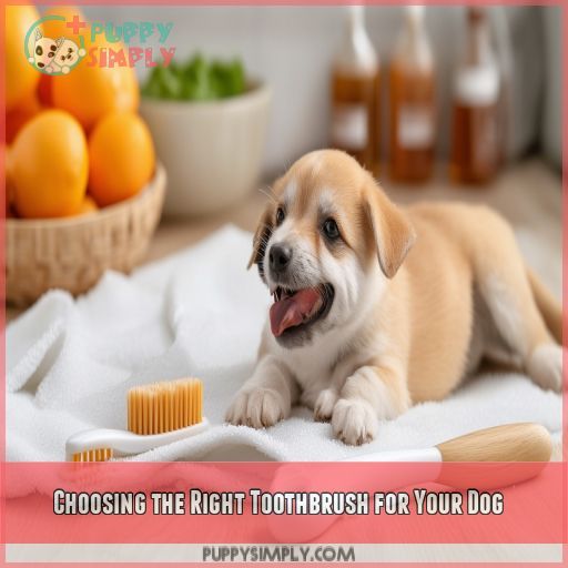 Choosing the Right Toothbrush for Your Dog