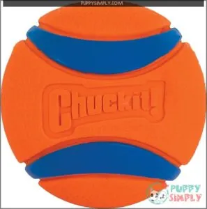 Chuckit Ultra Ball Dog Toy,