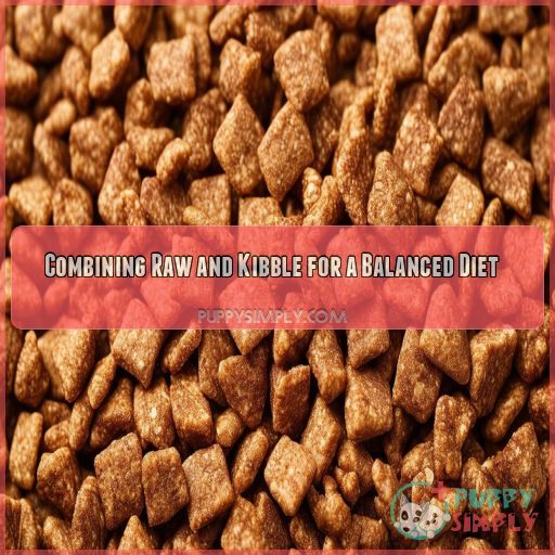 Combining Raw and Kibble for a Balanced Diet