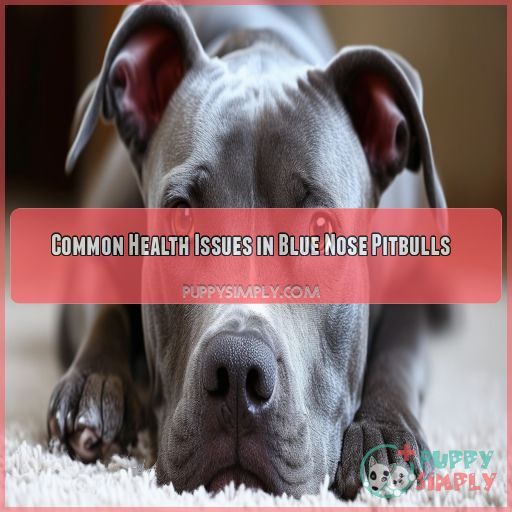 Common Health Issues in Blue Nose Pitbulls