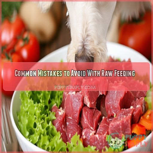 Common Mistakes to Avoid With Raw Feeding