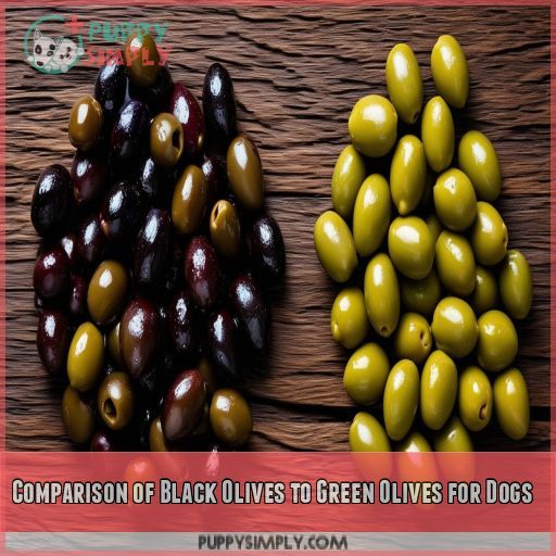 Comparison of Black Olives to Green Olives for Dogs