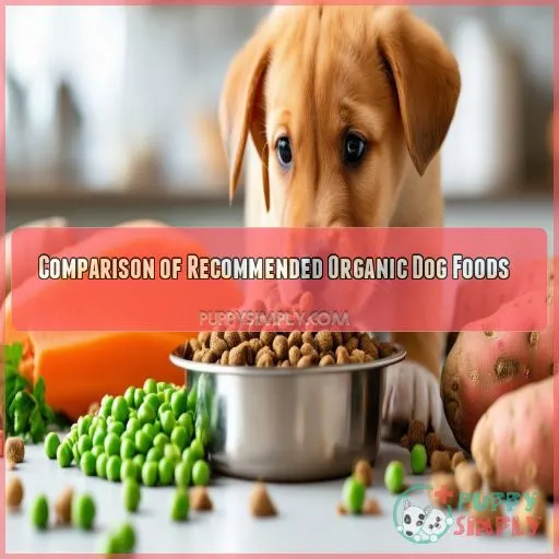 Comparison of Recommended Organic Dog Foods