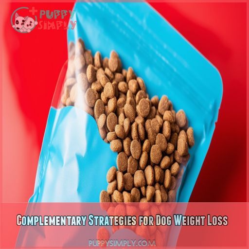 Complementary Strategies for Dog Weight Loss