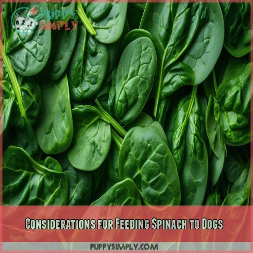 Considerations for Feeding Spinach to Dogs