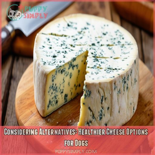 Considering Alternatives: Healthier Cheese Options for Dogs
