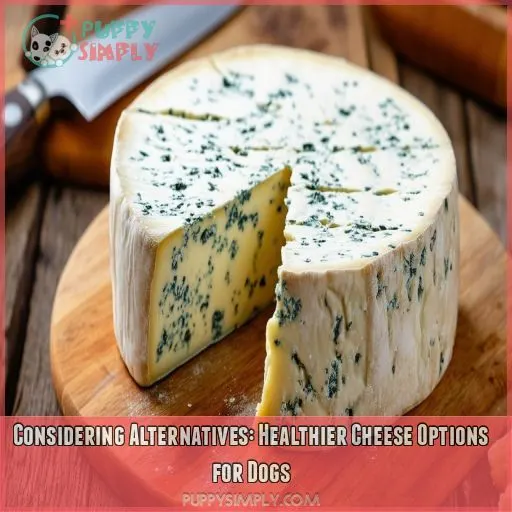 Considering Alternatives: Healthier Cheese Options for Dogs