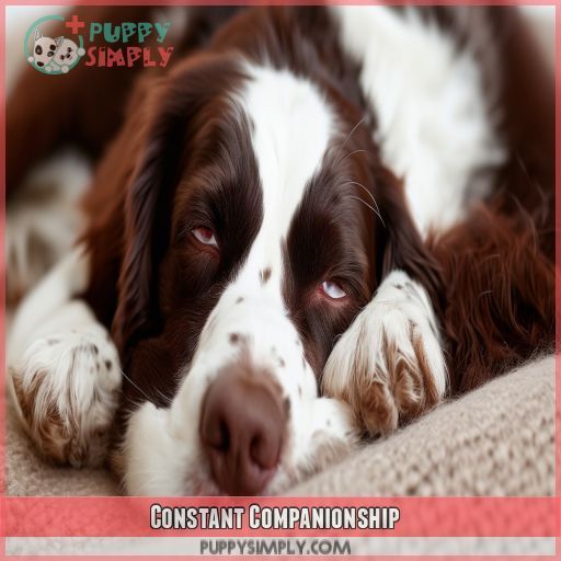 Constant Companionship Constant Companionship
