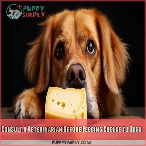 Consult a Veterinarian Before Feeding Cheese to Dogs