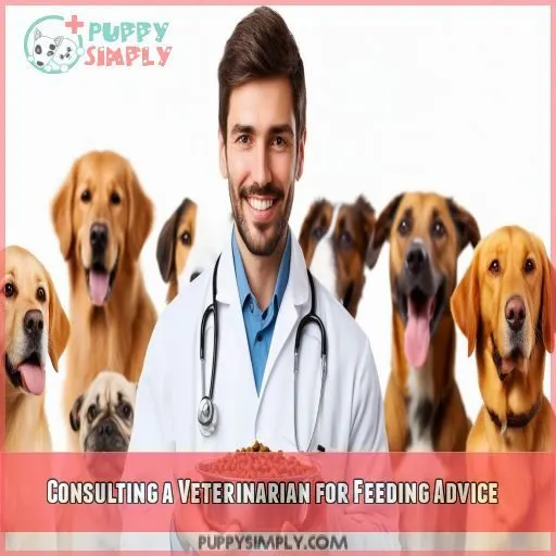 Consulting a Veterinarian for Feeding Advice