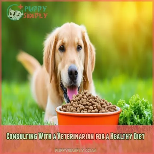 Consulting With a Veterinarian for a Healthy Diet