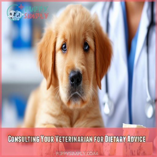 Consulting Your Veterinarian for Dietary Advice