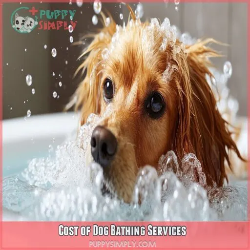 Cost of Dog Bathing Services