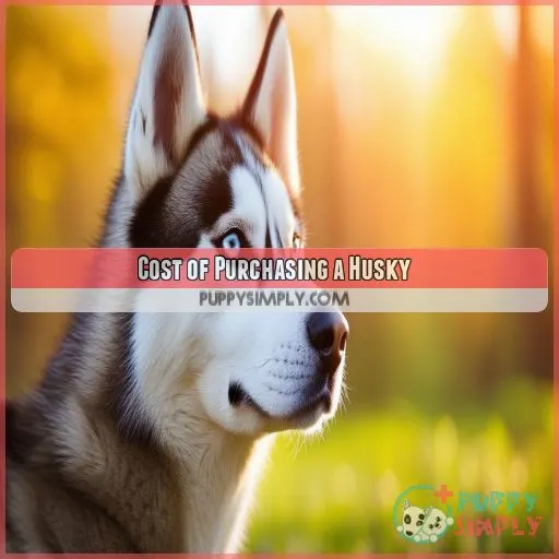 Cost of Purchasing a Husky
