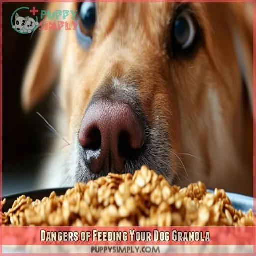 Dangers of Feeding Your Dog Granola