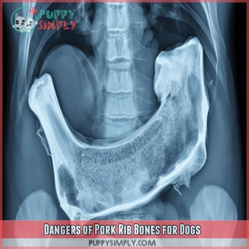 Dangers of Pork Rib Bones for Dogs