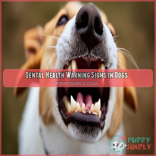 Dental Health Warning Signs in Dogs