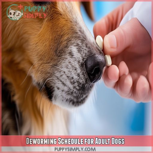 Deworming Schedule for Adult Dogs