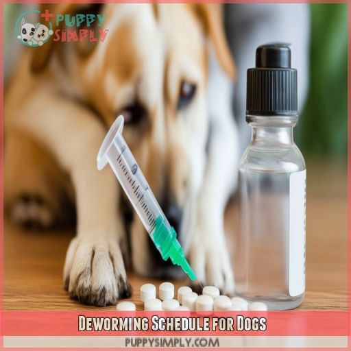 Deworming Schedule for Dogs