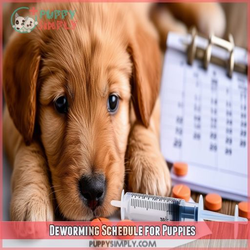 Deworming Schedule for Puppies