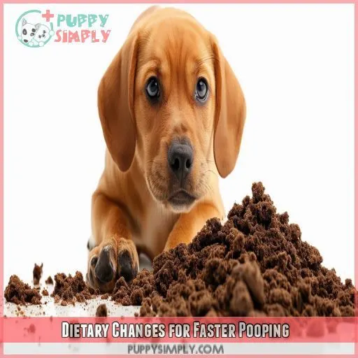 Dietary Changes for Faster Pooping