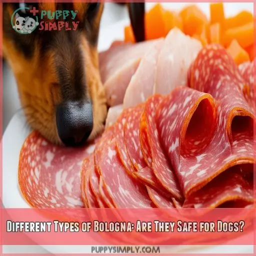 Different Types of Bologna: Are They Safe for Dogs