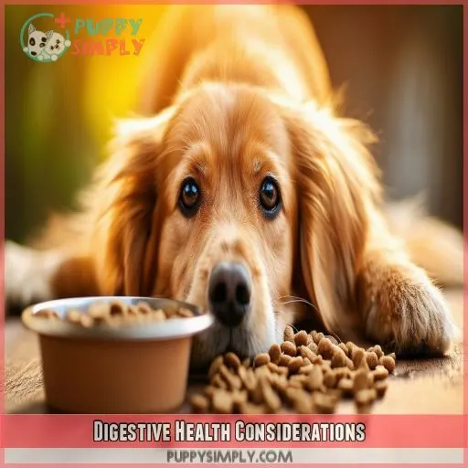 Digestive Health Considerations