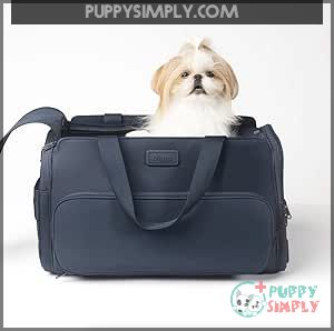 Diggs Travel Pet Carrier for