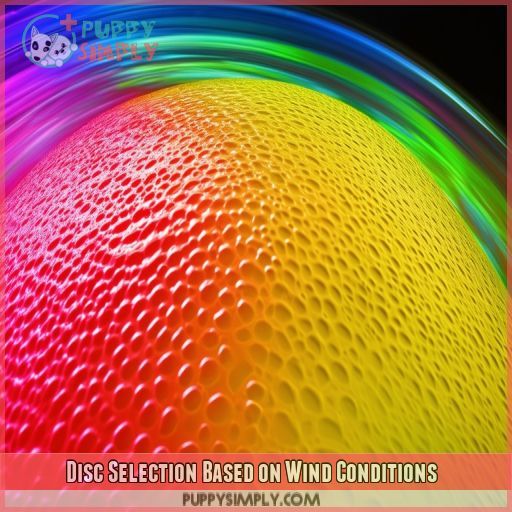 Disc Selection Based on Wind Conditions