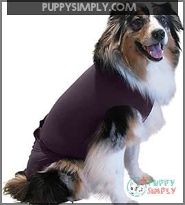 Disposable Dog Diapers Keeper - B00TNX7FI0