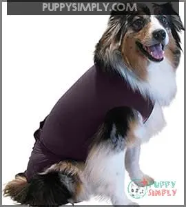 Disposable Dog Diapers Keeper -
