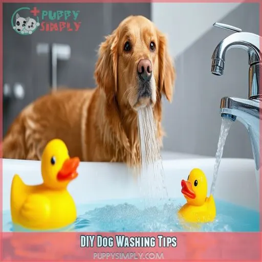 DIY Dog Washing Tips