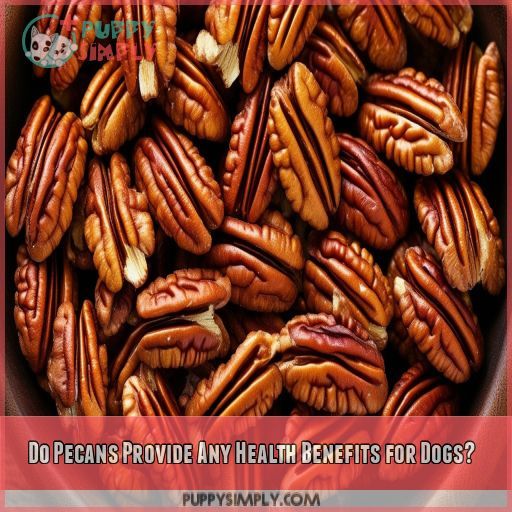 Do Pecans Provide Any Health Benefits for Dogs