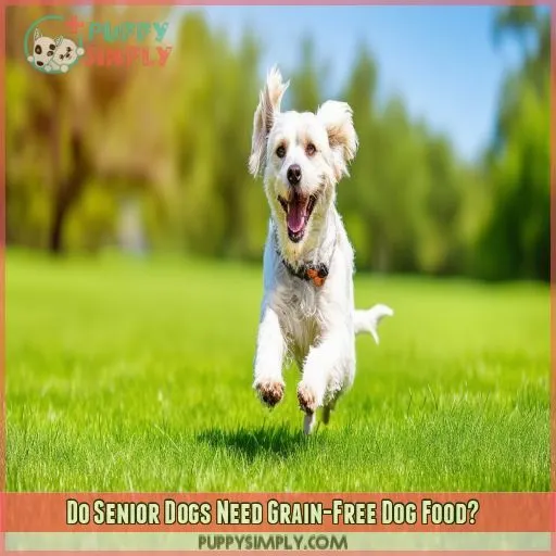 Do Senior Dogs Need Grain-Free Dog Food