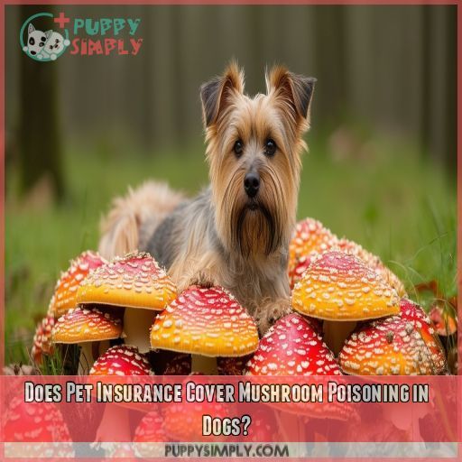 Does Pet Insurance Cover Mushroom Poisoning in Dogs