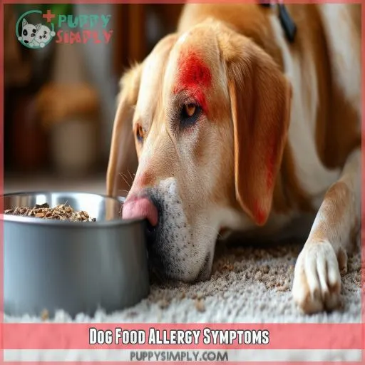 Dog Food Allergy Symptoms