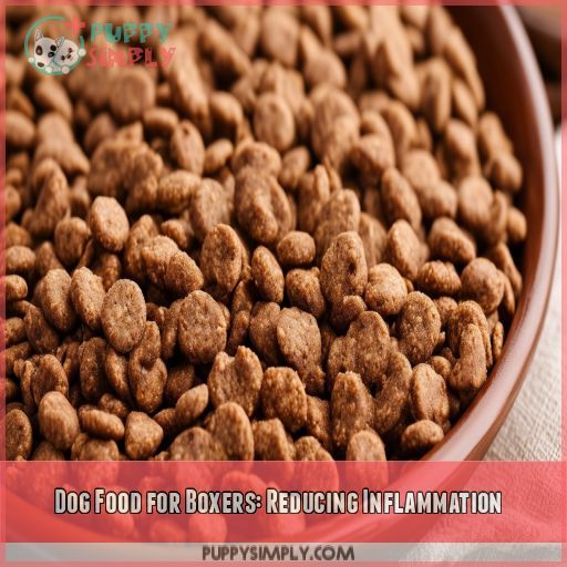 Dog Food for Boxers: Reducing Inflammation