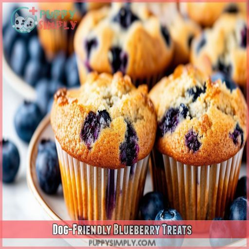 Dog-Friendly Blueberry Treats