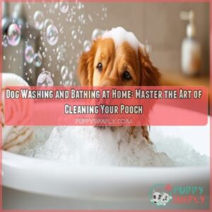 Dog washing and bathing at home