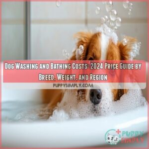 Dog washing and bathing costs