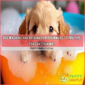 Dog washing and bathing for beginners