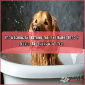 Dog washing and bathing for long haired dogs