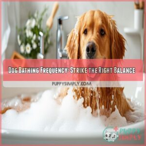 Dog washing and bathing frequency